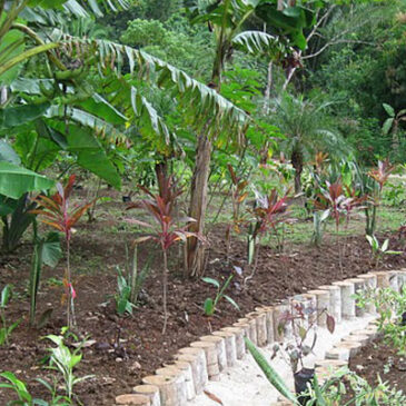 Orchard and Garden