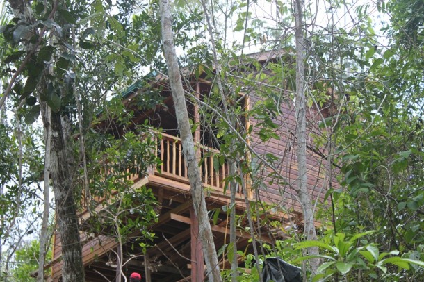 Better In Belize Hill top Cabin