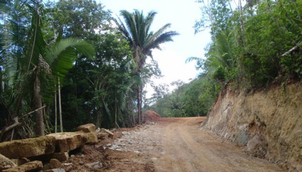 buy belize