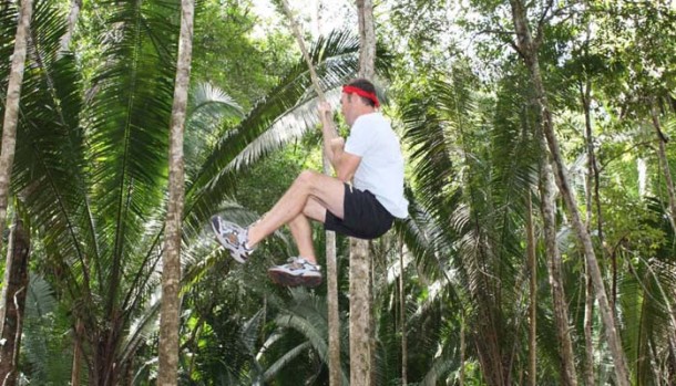 belize rainforest adventures