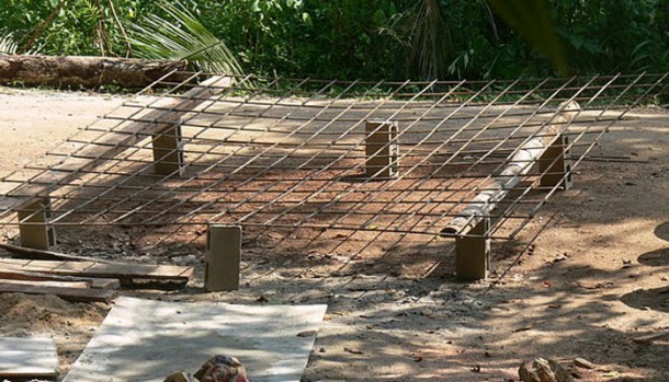 buybelize