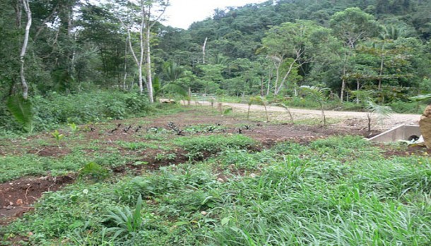 property for sale belize