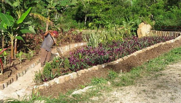 belize property for sale