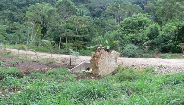 belize real estate