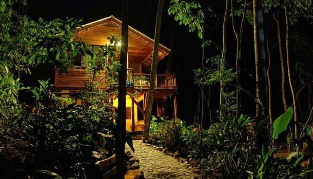 The Toucan House