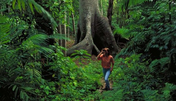 belize bird watching