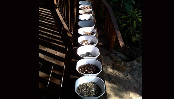 belize eco lots for sale