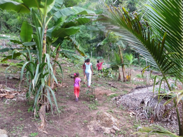 Lower Milpa Garden at Better in Belize Ecovillage