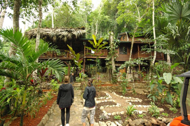 Better in Belize Eco Lodge