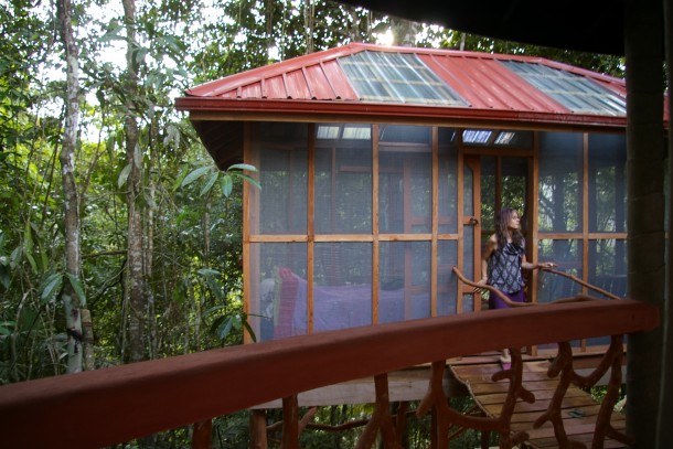 buybelize