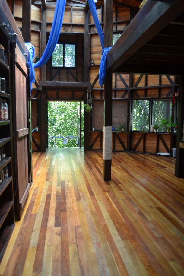 belize rainforest houses for sale