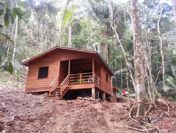 rainforest property in belize