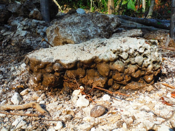 living in belize