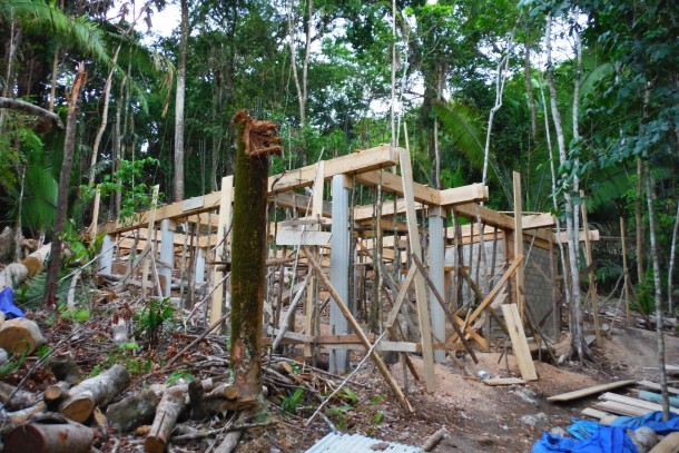 homes for sale in belize