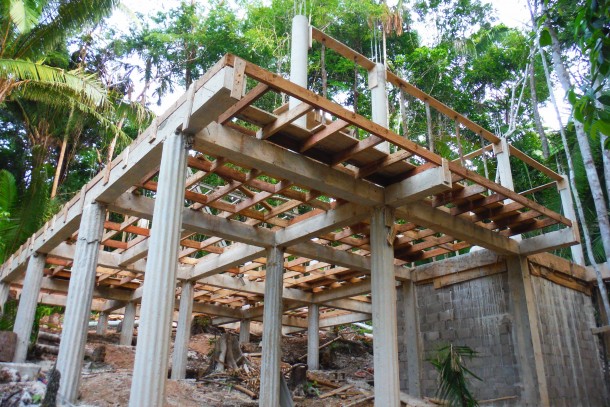 rainforest properties in belize