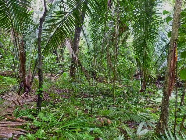 better in belize home location