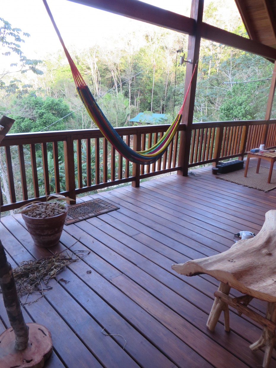 better in belize eco home
