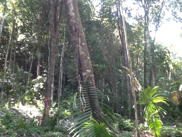 cheap off grid land for sale