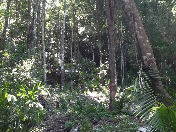 belize property