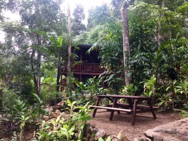 belize real estate