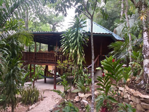 off grid property for sale