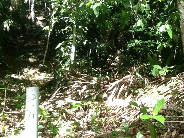 belize property for sale