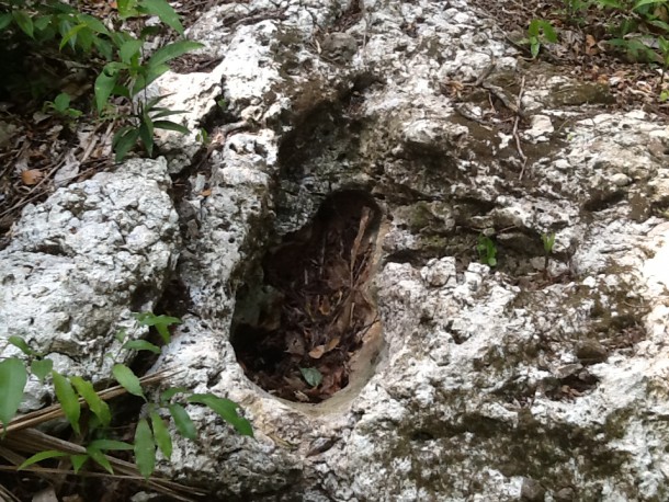 belize real estate