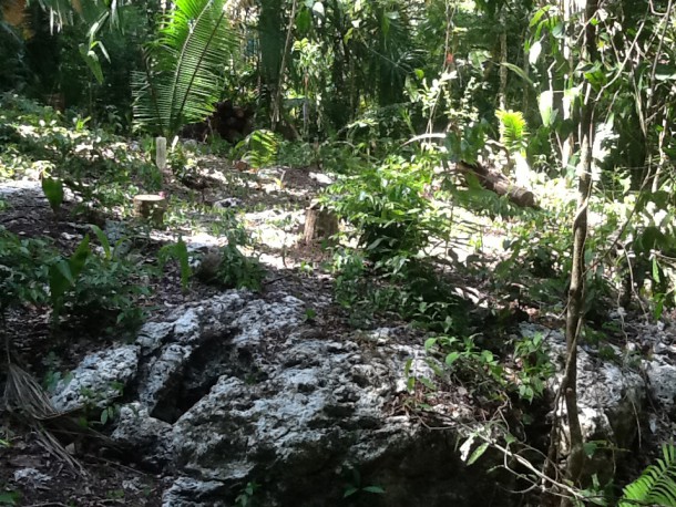 eco villages in belize