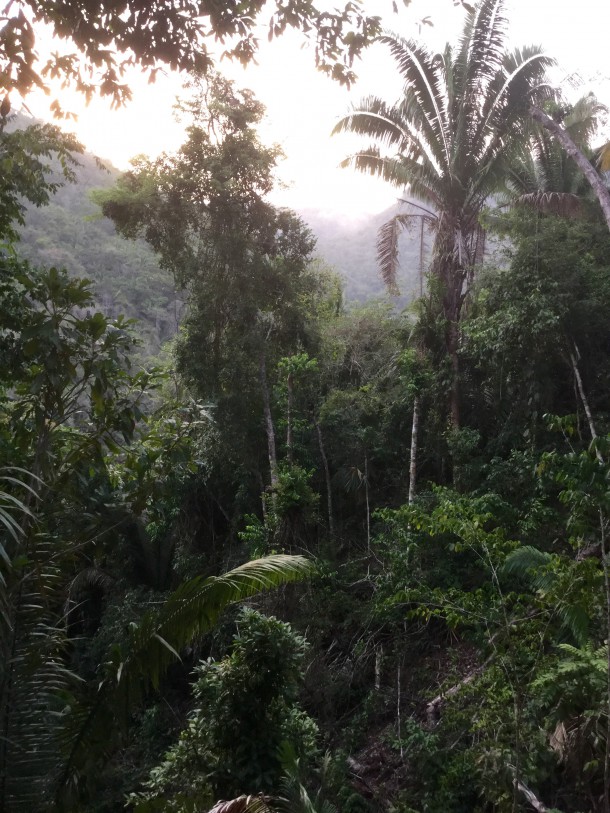 better in belize view