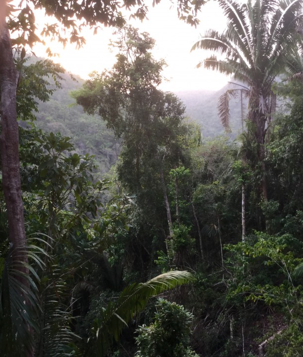 belize real estate