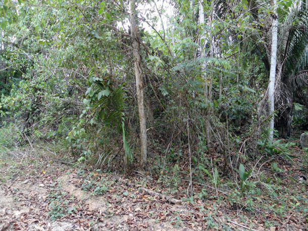 off grid property for sale