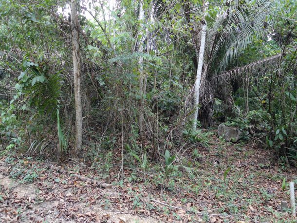 living in belize