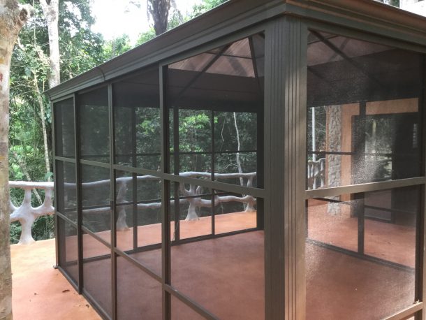belize rainforest land for sale