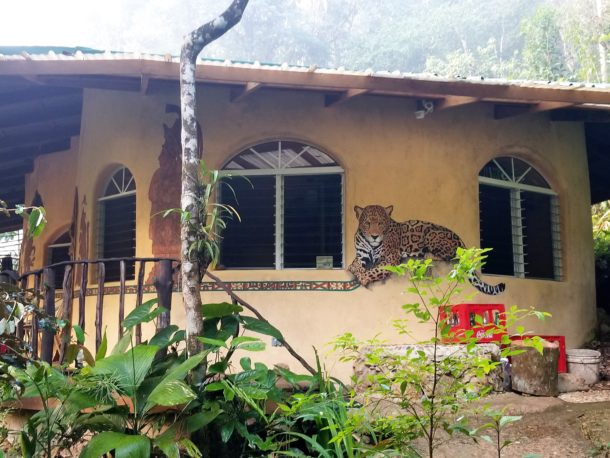 Belize Earthbag Home
