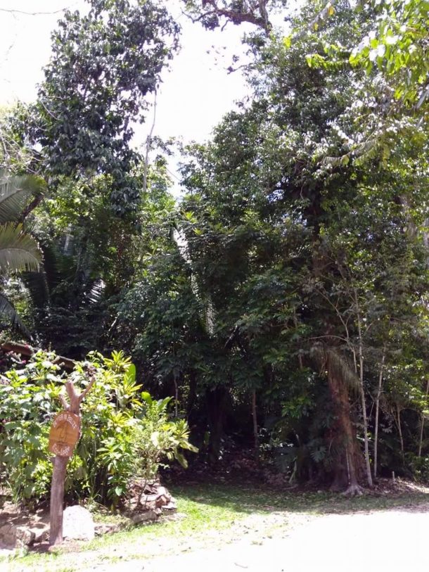 Land for sale in Belize