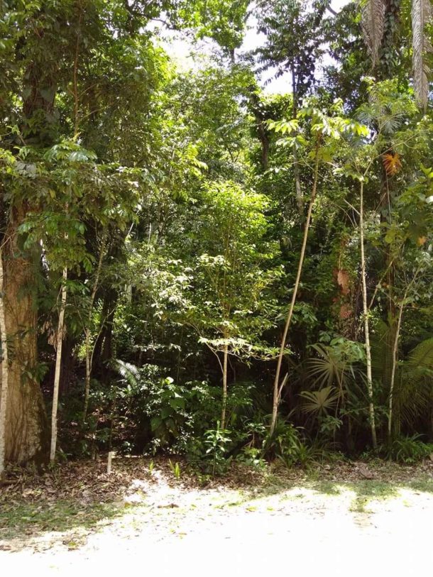 Real Estate for sale in Belize