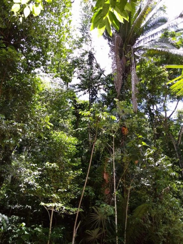 Belize property for sale