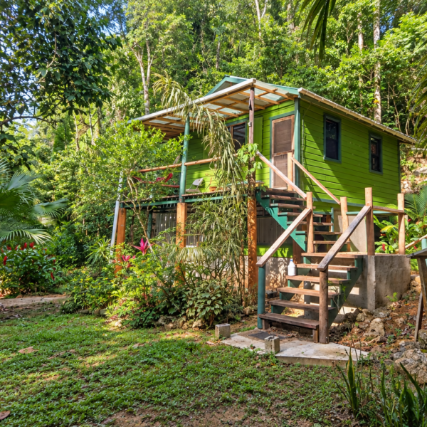 Green two-level jungle home on Lot 4