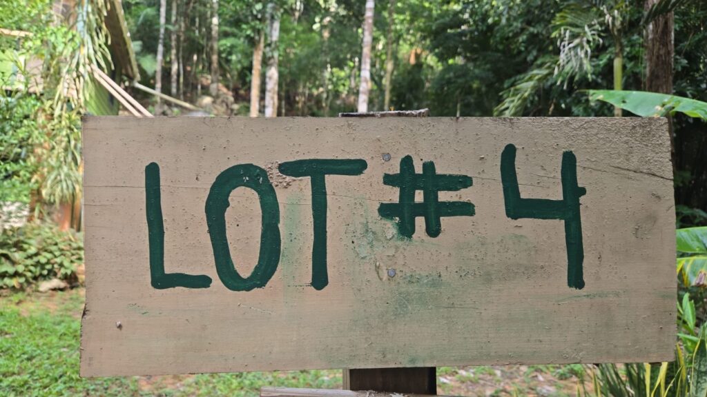 Jungle home on Lot 4, Better in Belize