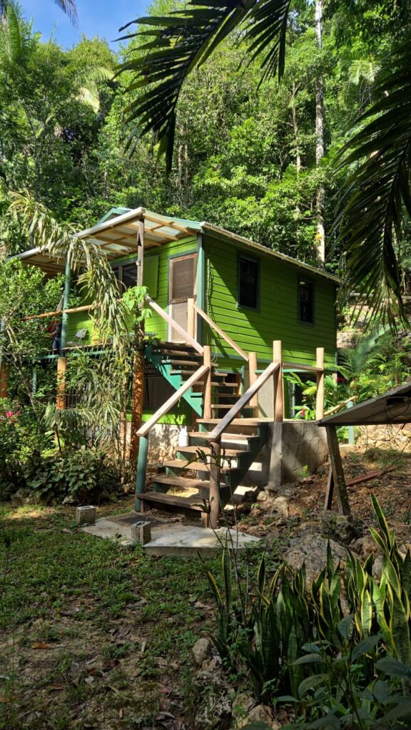 Jungle home on Lot 4, Better in Belize