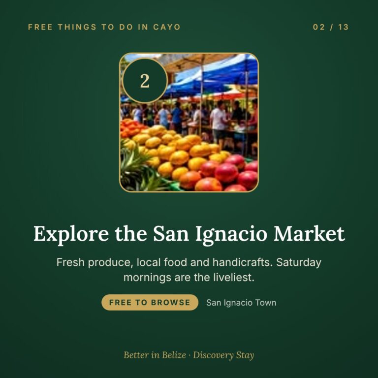 Explore the San Ignacio Market