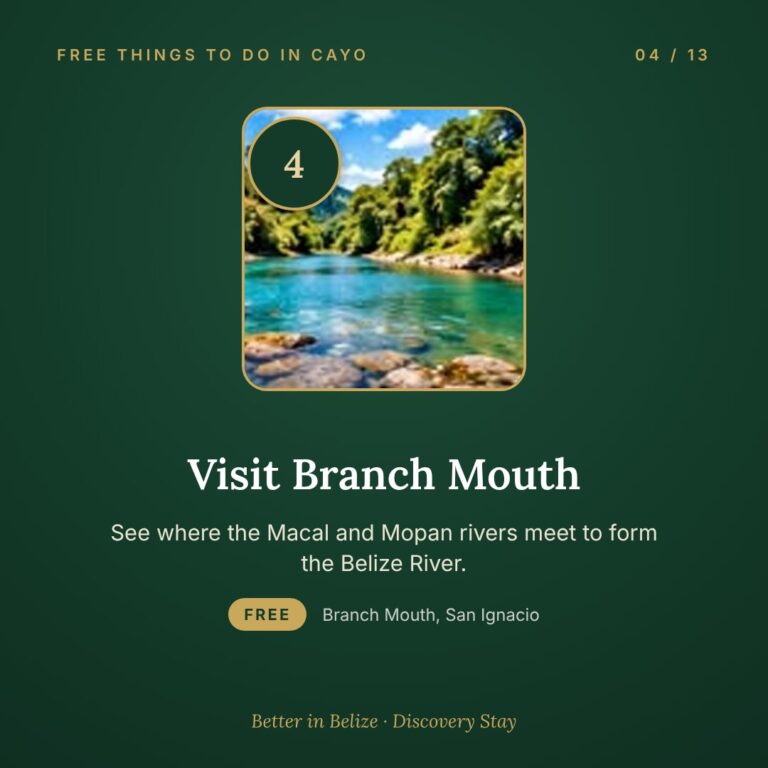 Visit Branch Mouth