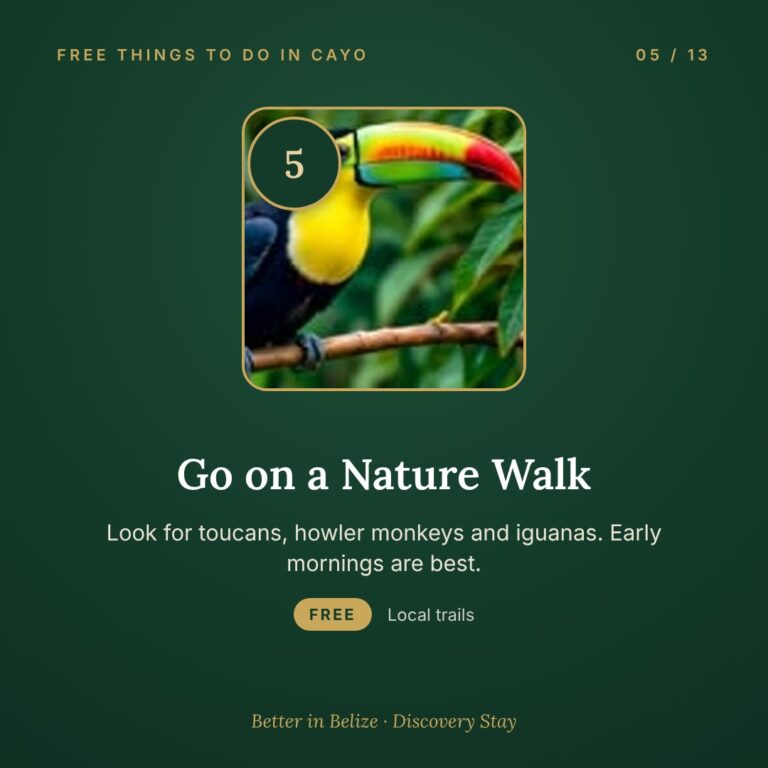 Go on a nature walk in Cayo