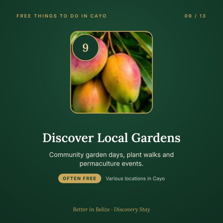 Discover local gardens in Cayo