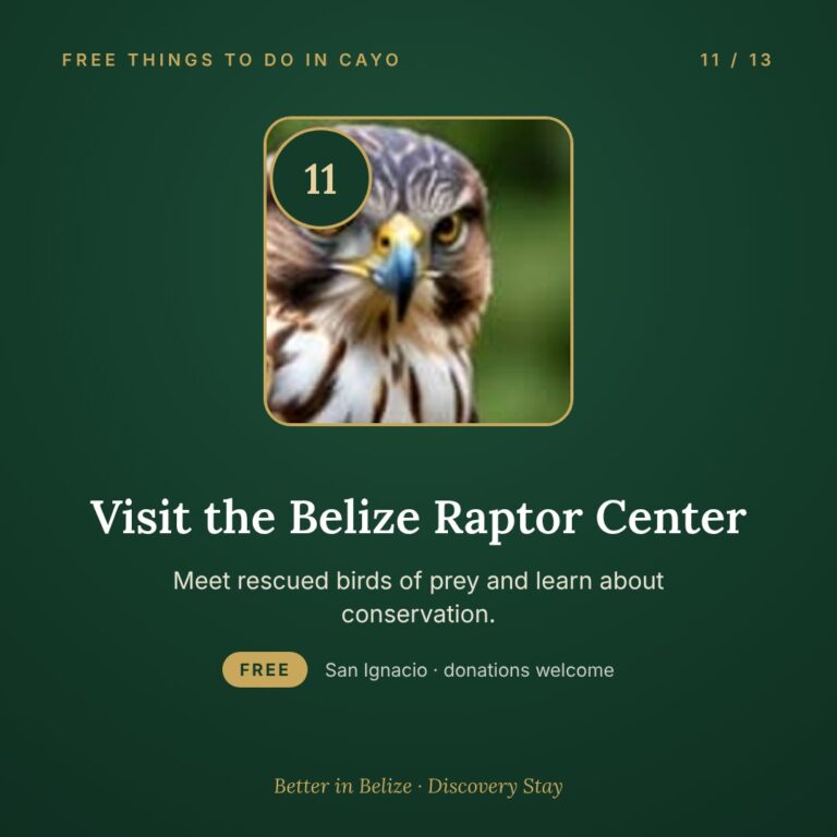 Visit the Belize Raptor Center