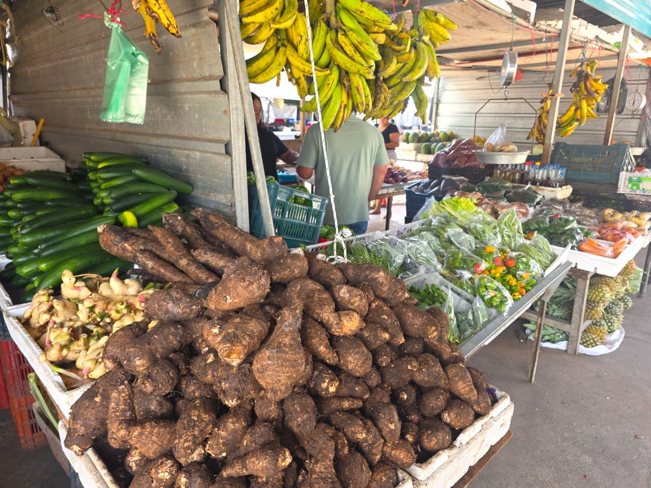 Root vegetables, cucumbers and fresh greens at a Cayo farmers market