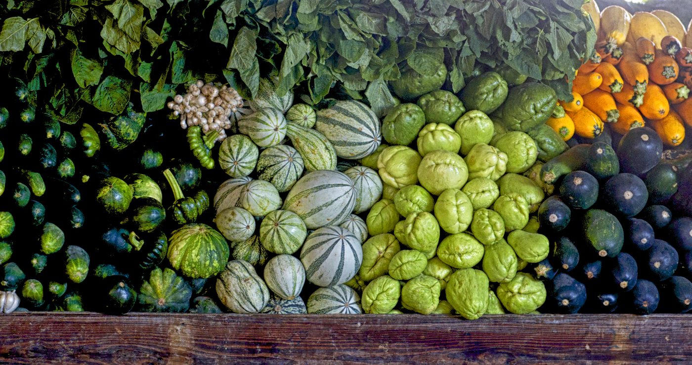 Colourful display of squash and chayote at a Cayo market