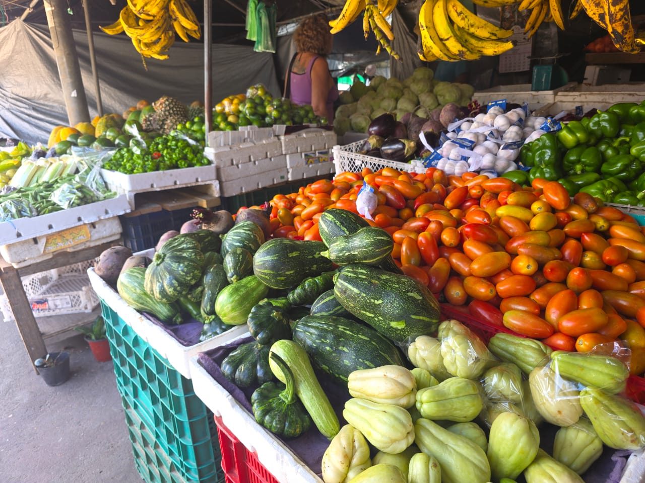 Fresh tomatoes, squash and chayote at a local market stall in Cayo