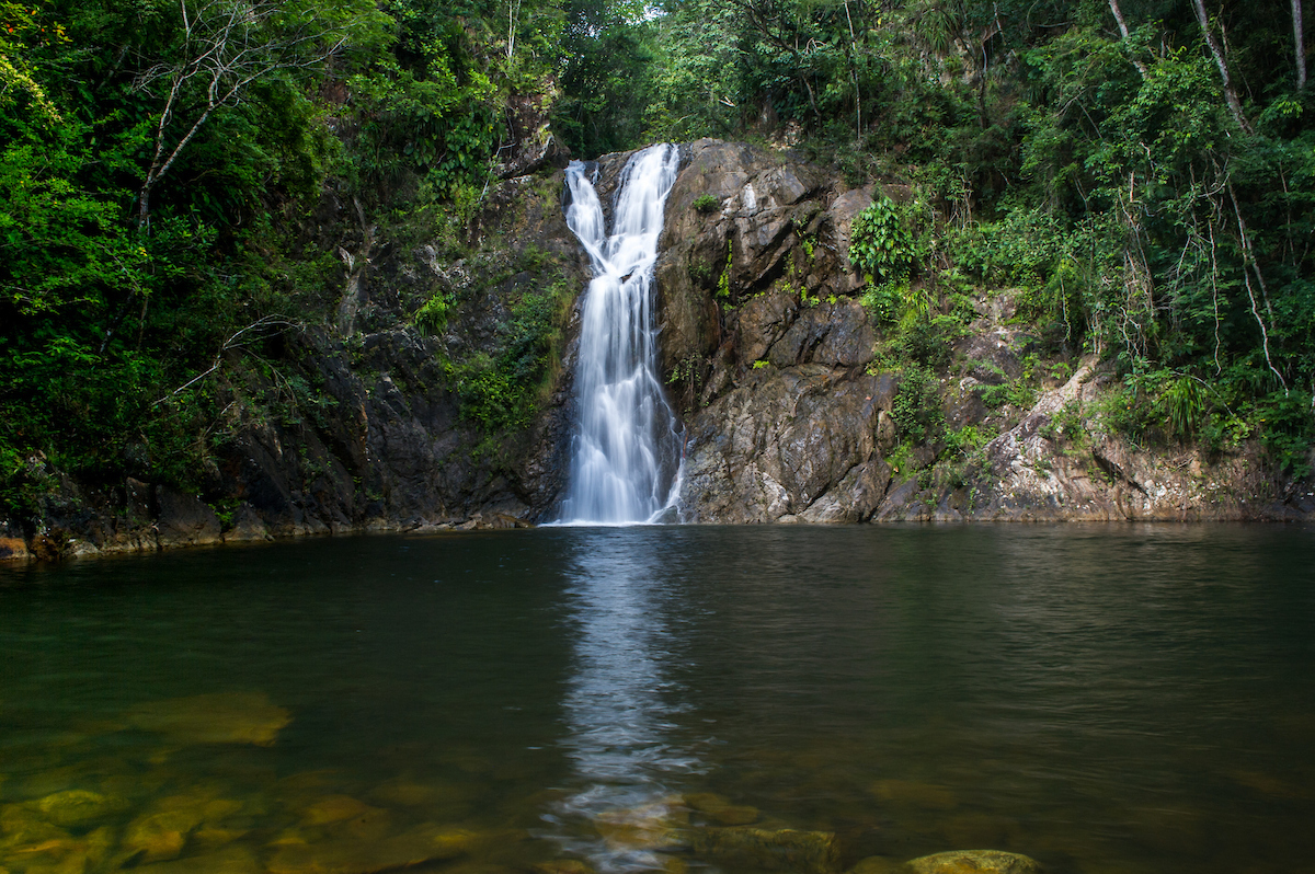 Jungle waterfall and swimming hole