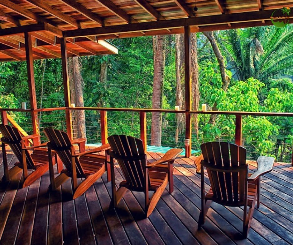 Deck chairs facing the forest